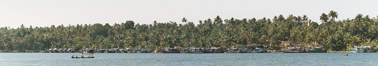Backwaters - Kerala
